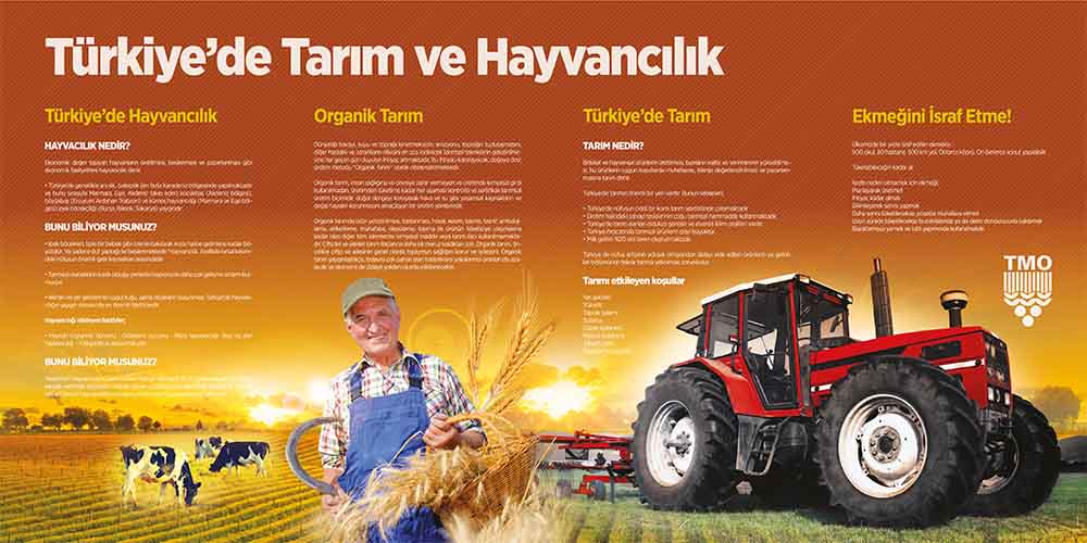 Coğrafya - Sosyal Bilgiler Duvar Posteri