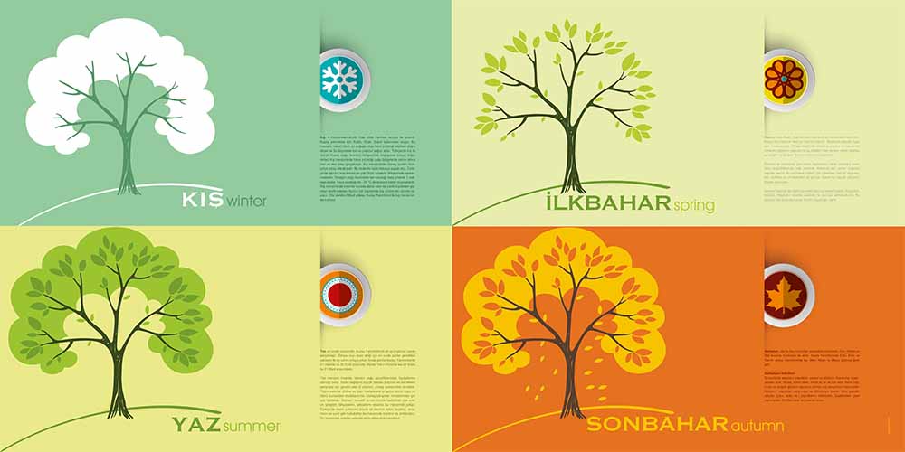 Coğrafya - Sosyal Bilgiler Duvar Posteri