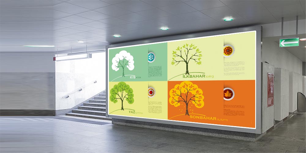 Coğrafya - Sosyal Bilgiler Duvar Posteri