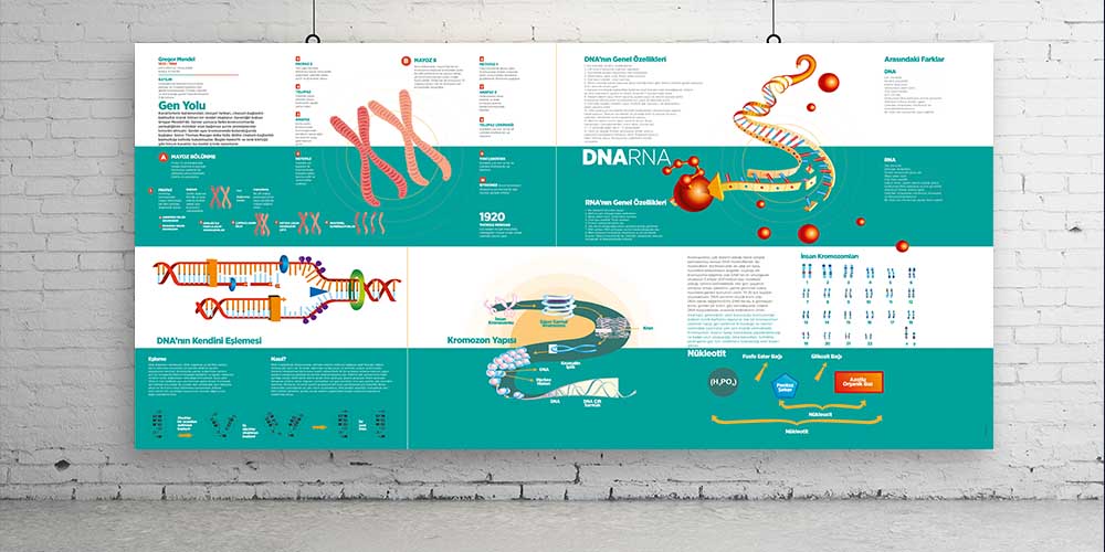 Fen - Teknoloji Okul Posteri