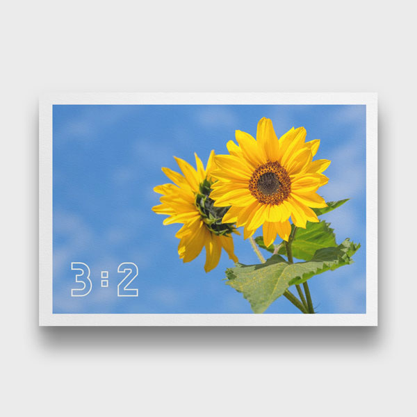 3:2 Yatay Poster Baskı