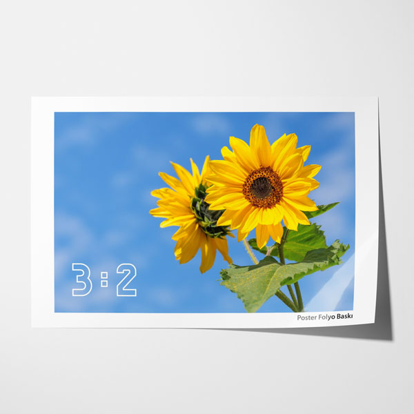 3:2 Yatay Poster Baskı