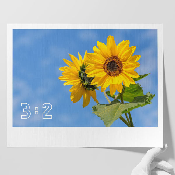 3:2 Yatay Poster Baskı