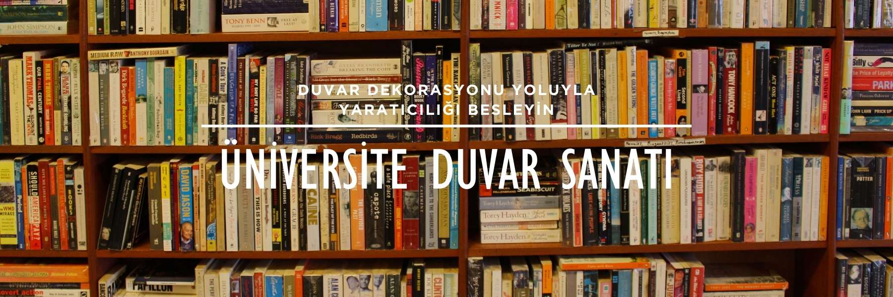 Üniversite - Akademi Image 133