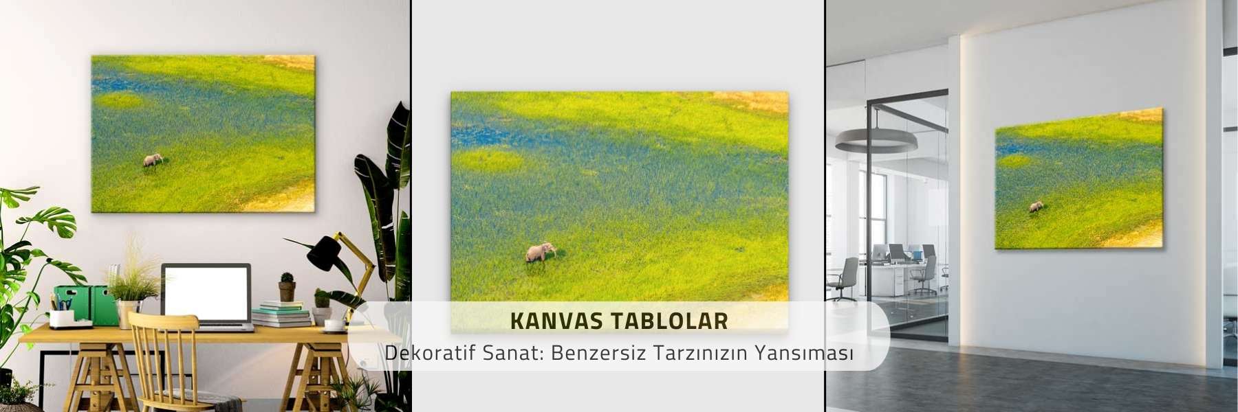 Dünya Kültürü - Gezi Image 183