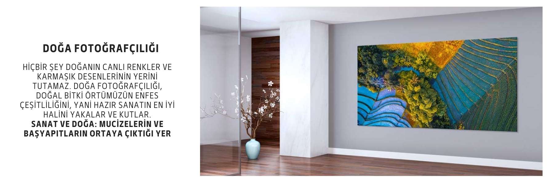 Dünya Kültürü - Gezi Image 116