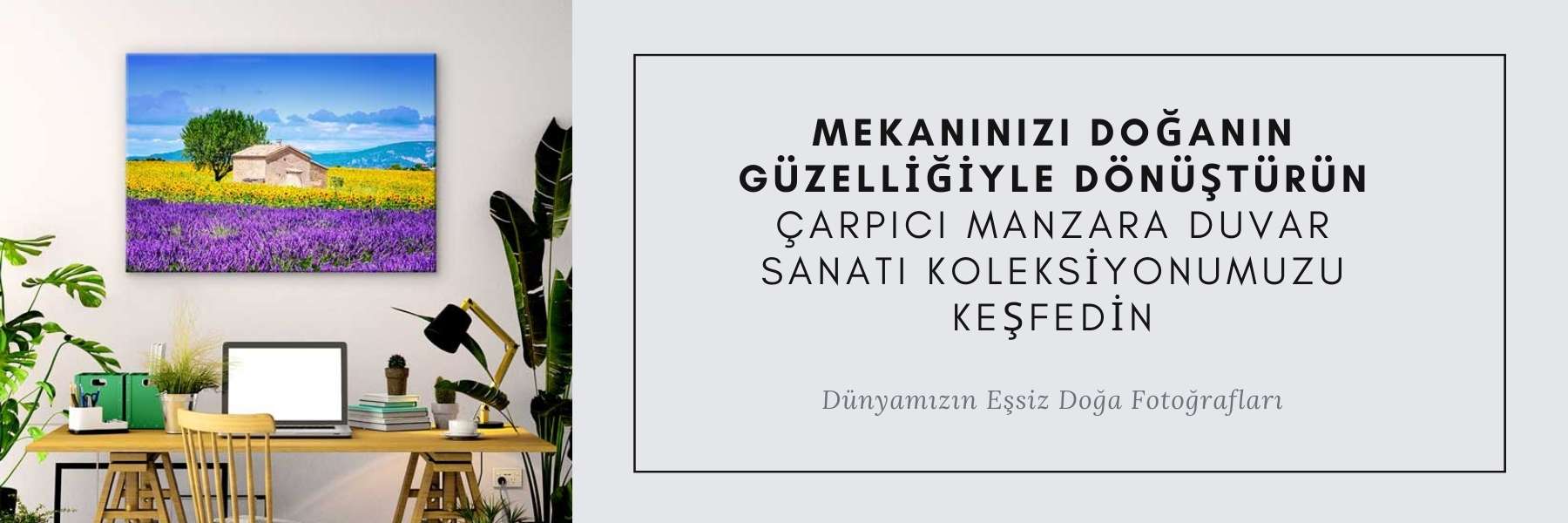 Dünya Kültürü - Gezi Image 80