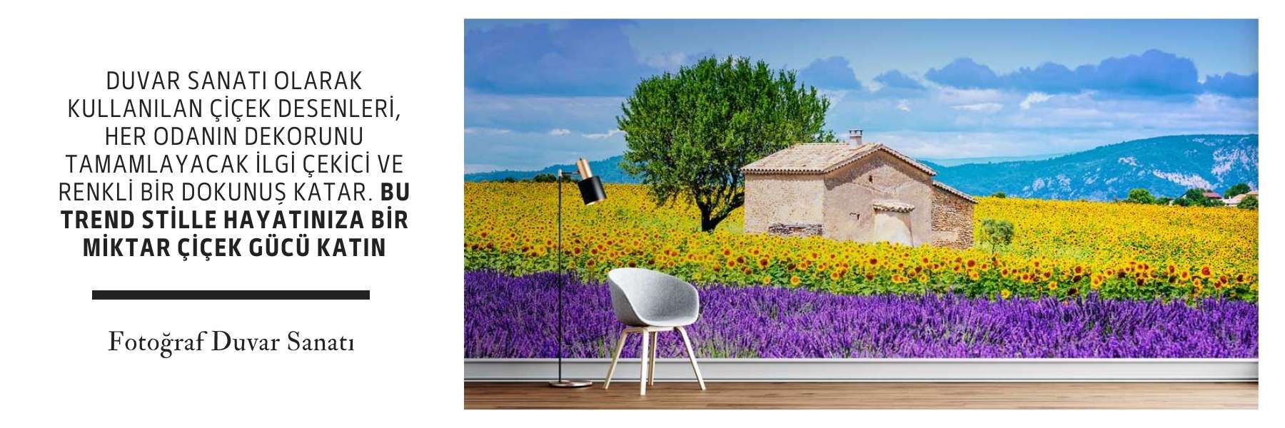 Dünya Kültürü - Gezi Image 91