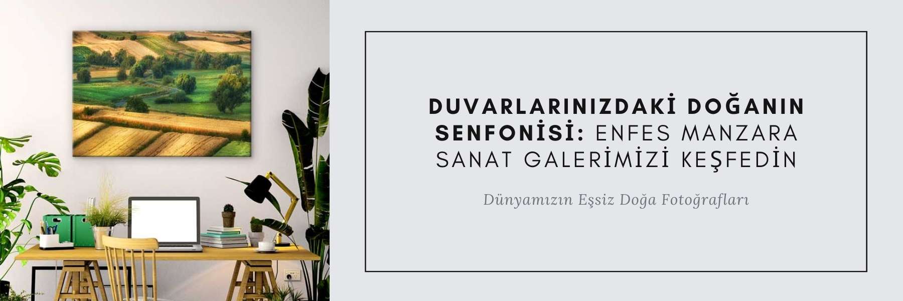 Dünya Kültürü - Gezi Image 34