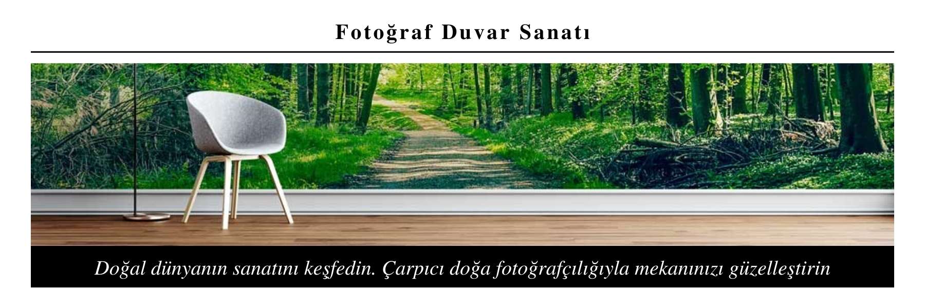 Dünya Kültürü - Gezi Image 39