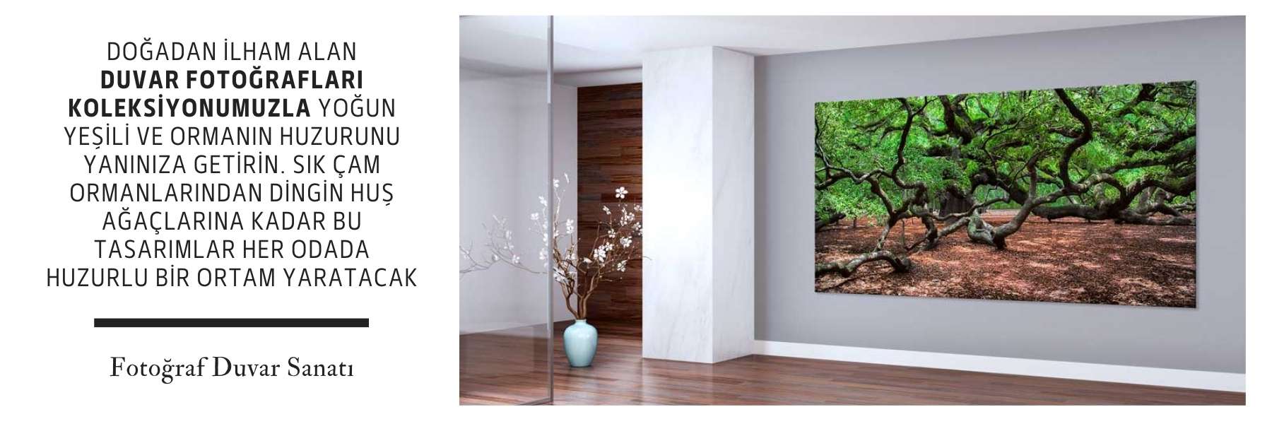 Dünya Kültürü - Gezi Image 170