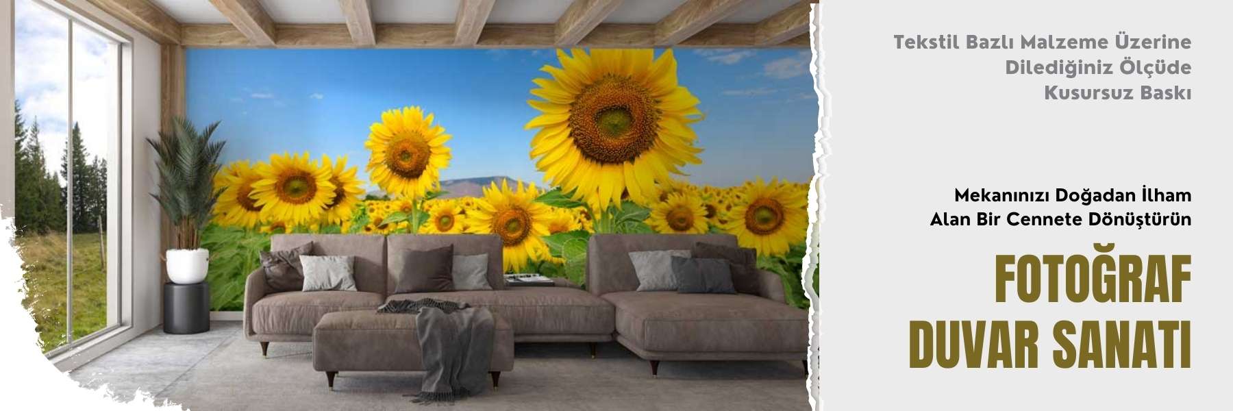 Dünya Kültürü - Gezi Image 96