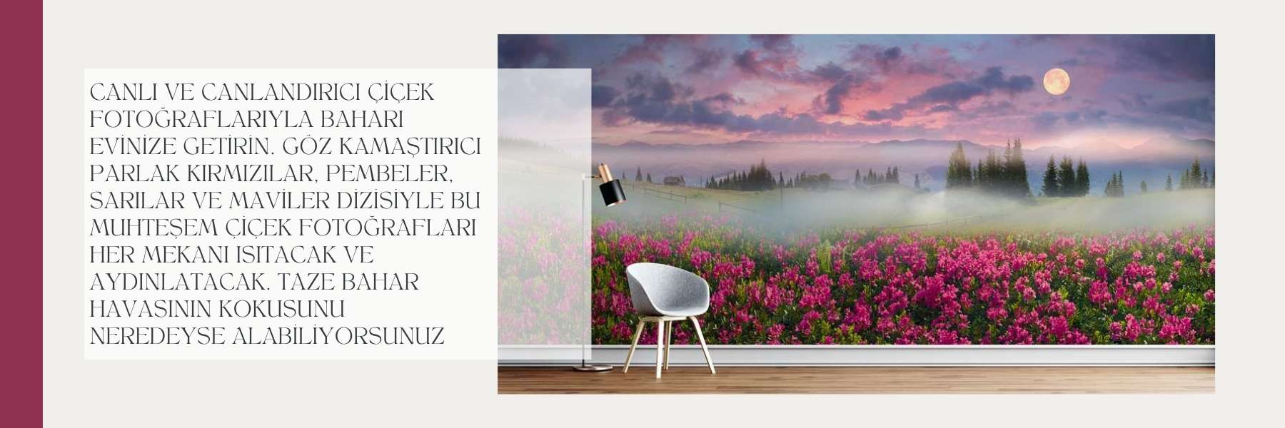 Dünya Kültürü - Gezi Image 40