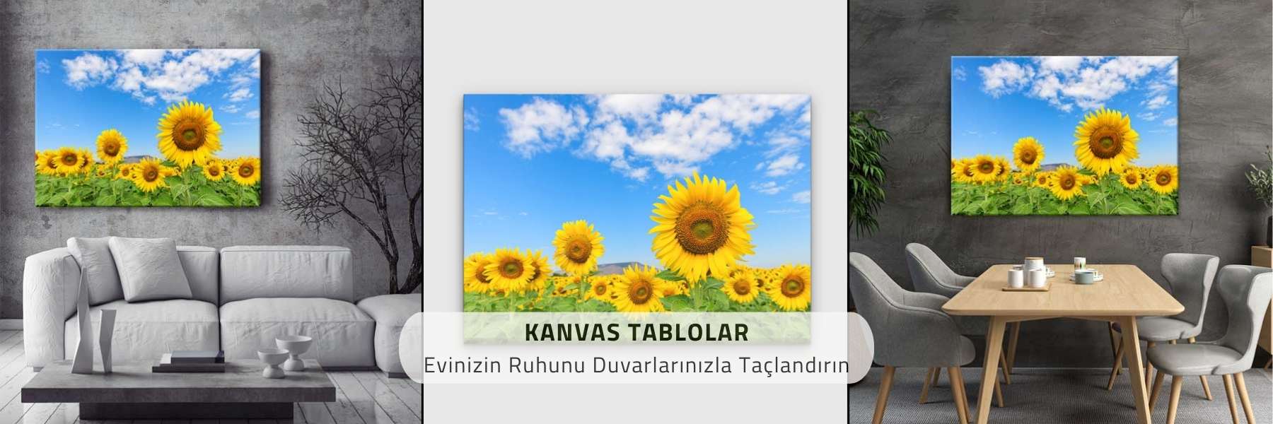 Dünya Kültürü - Gezi Image 33