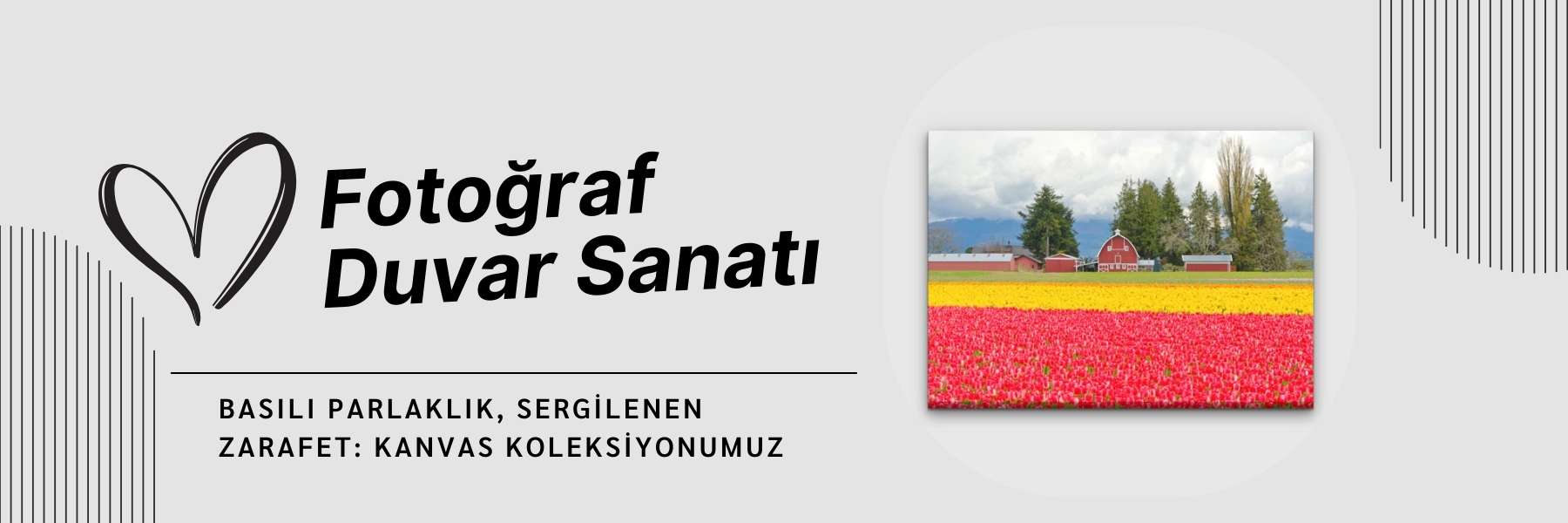 Dünya Kültürü - Gezi Image 13