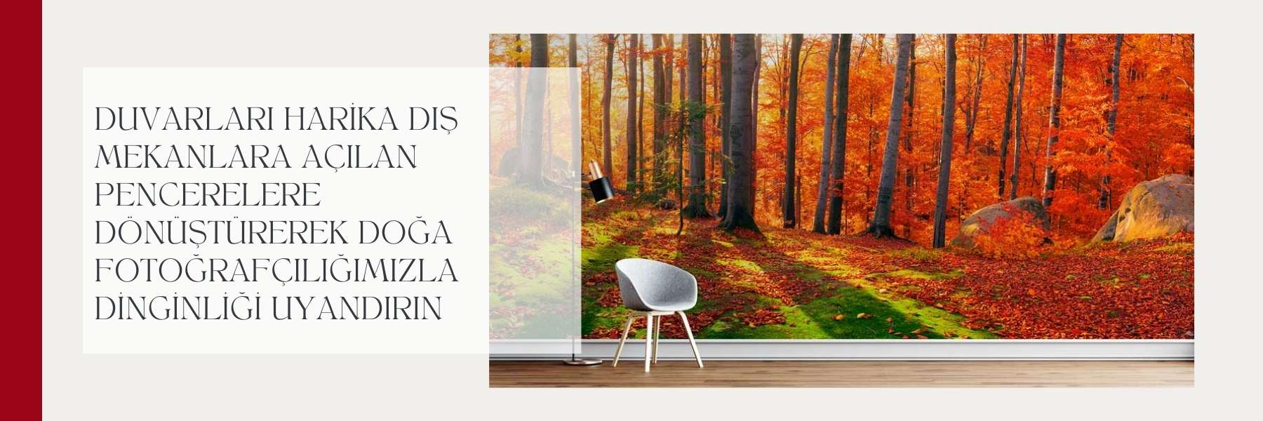 Dünya Kültürü - Gezi Image 106