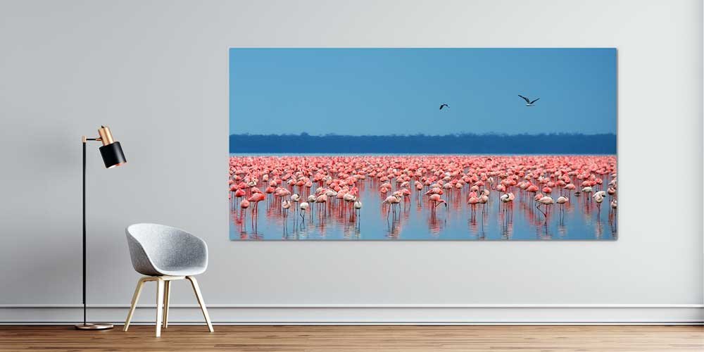 Flamingo Sürüsü Büyük Ebat Duvar Dekoru 13997