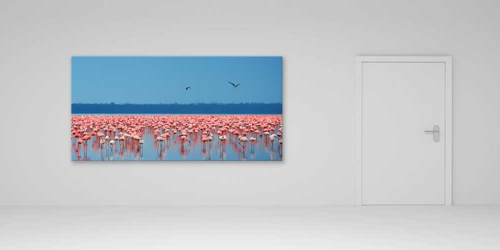 Flamingo Sürüsü Büyük Ebat Duvar Dekoru 13997