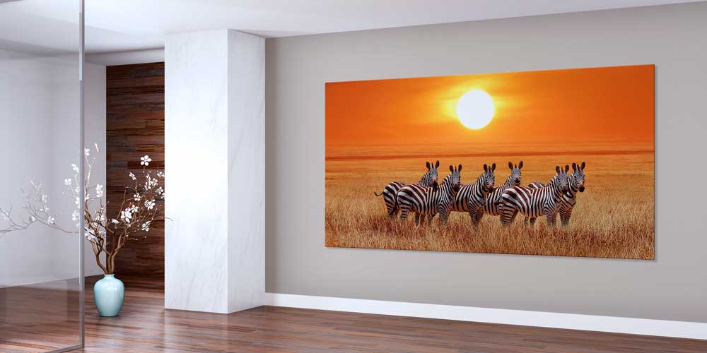 Gün Batımında Zebra Sürüsü Büyük Ebat Duvar Dekoru 14014