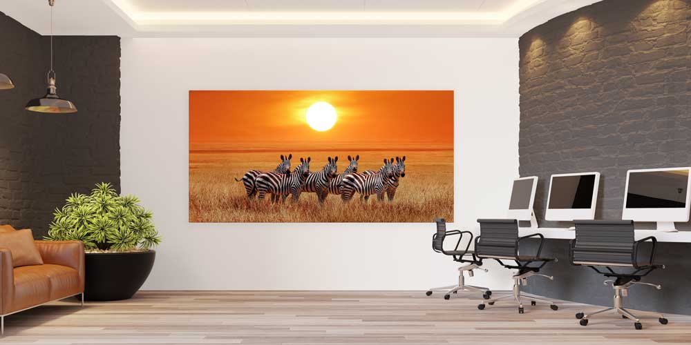 Gün Batımında Zebra Sürüsü Büyük Ebat Duvar Dekoru 14014