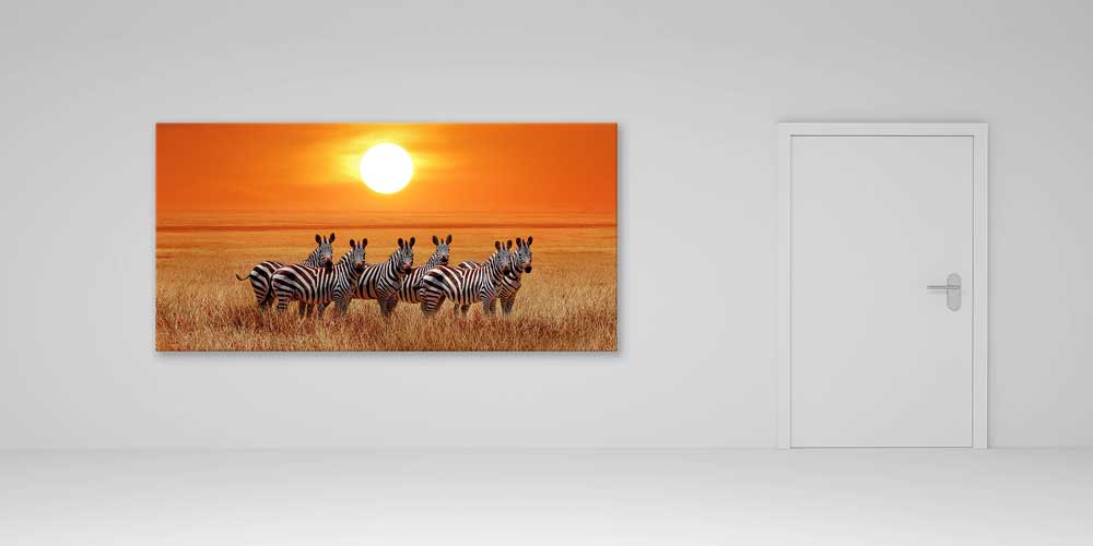 Gün Batımında Zebra Sürüsü Büyük Ebat Duvar Dekoru 14014