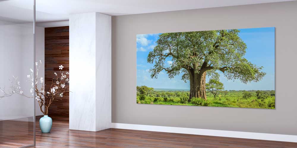 Baobab Ağacı Afrika Büyük Ebat Duvar Dekoru 14000