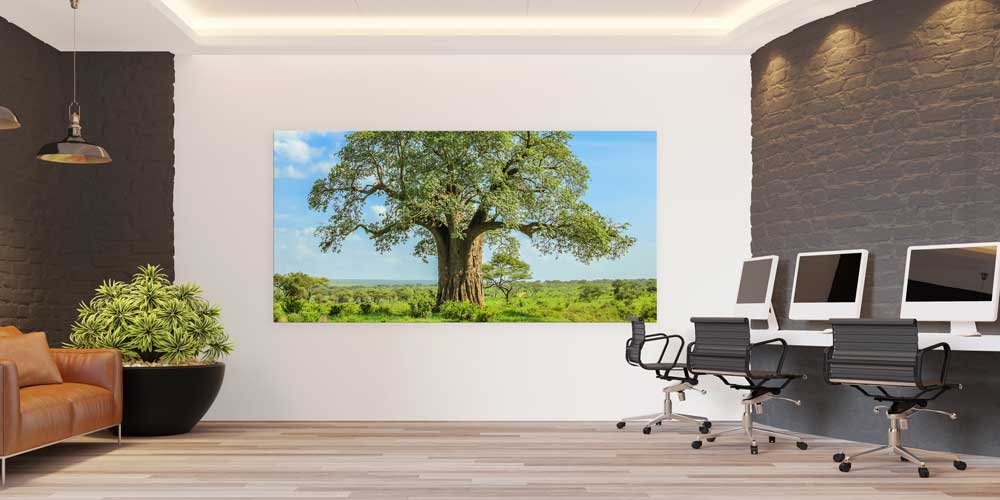 Baobab Ağacı Afrika Büyük Ebat Duvar Dekoru 14000