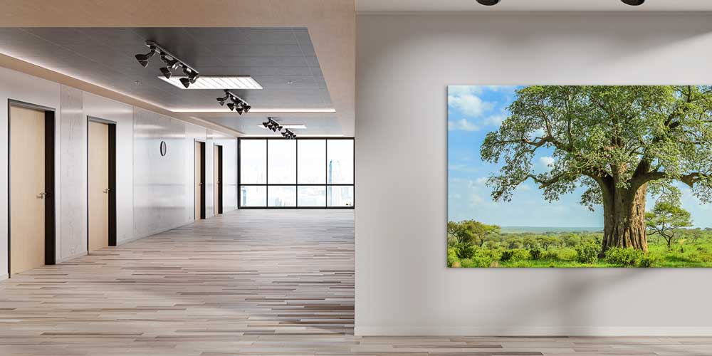 Baobab Ağacı Afrika Büyük Ebat Duvar Dekoru 14000