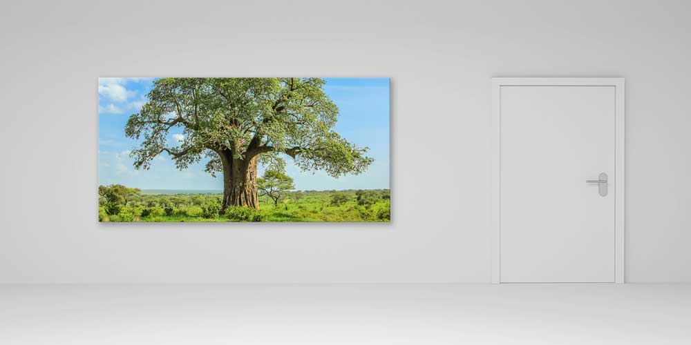 Baobab Ağacı Afrika Büyük Ebat Duvar Dekoru 14000