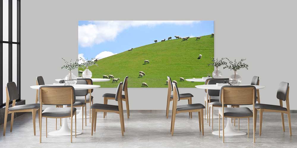 Otlayan Koyunlar ve Yeşil Tepe Manzarası Büyük Ebat Duvar Dekor Ürünü 12490