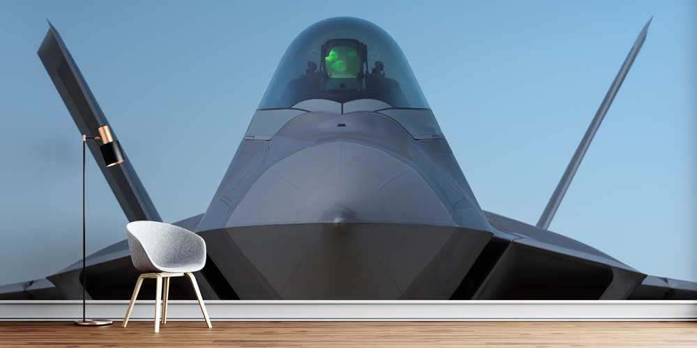 F-22 Raptor Kokpit Duvar Kağıdı 10949