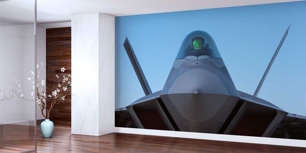 F-22 Raptor Kokpit Duvar Kağıdı 10949