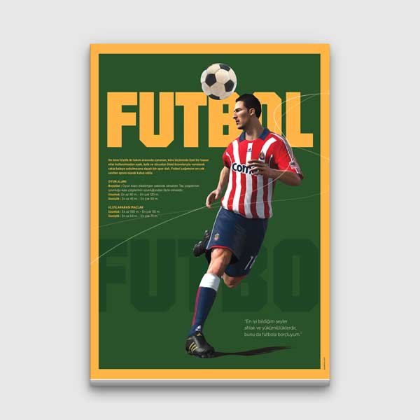 Futbol Sahası Temalı Kanvas Tablo – B-206