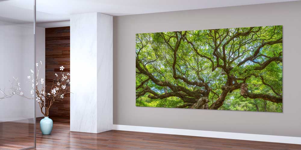 Geniş Dallı Yeşil Orman Manzarası Büyük Ebat Duvar Dekor Ürünü 14180