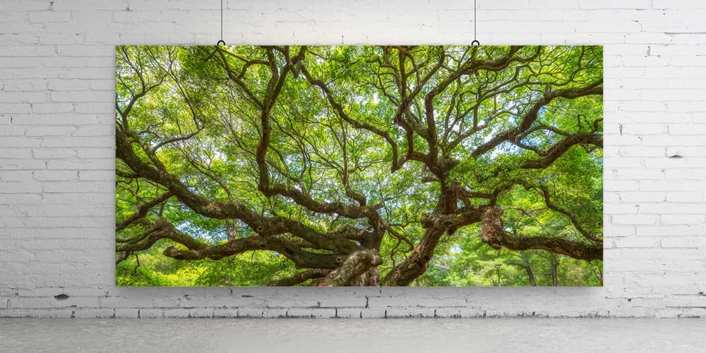 Geniş Dallı Yeşil Orman Manzarası Büyük Ebat Duvar Dekor Ürünü 14180