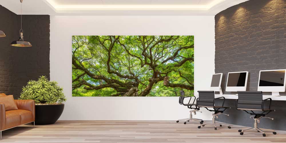 Geniş Dallı Yeşil Orman Manzarası Büyük Ebat Duvar Dekor Ürünü 14180