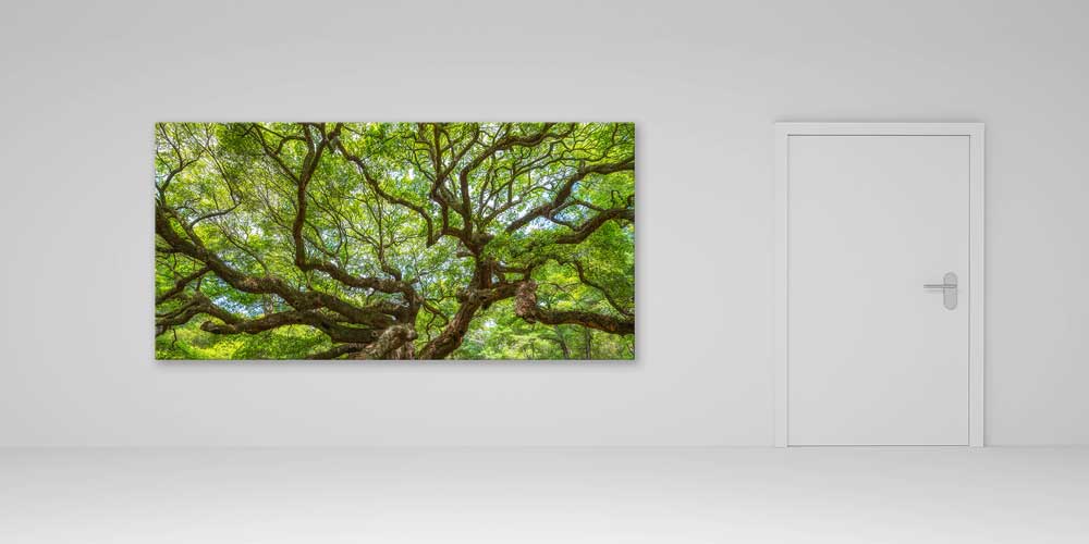Geniş Dallı Yeşil Orman Manzarası Büyük Ebat Duvar Dekor Ürünü 14180
