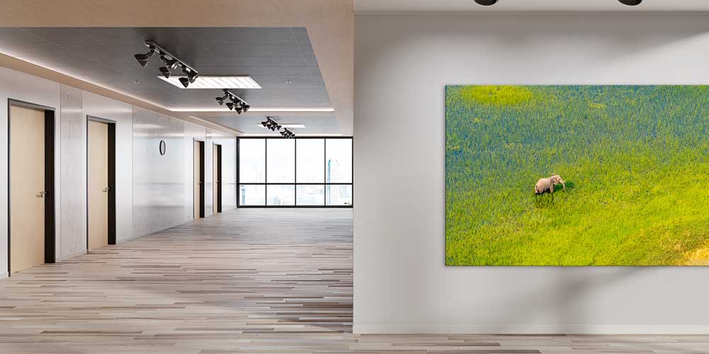 Afrika Savanında Fil Büyük Ebat Duvar Dekoru 14005