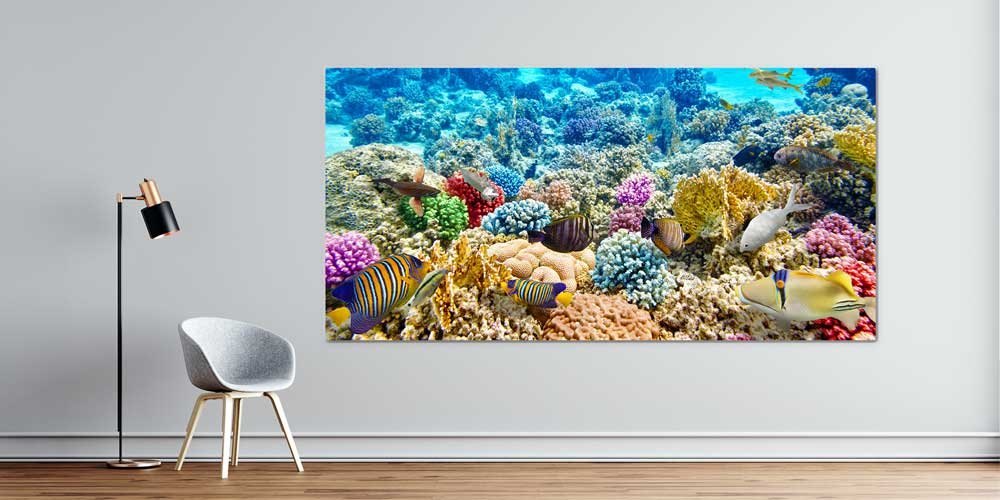 Büyük Ebat Tropikal Mercan ve Renkli Balıklar Duvar Dekoru 14036