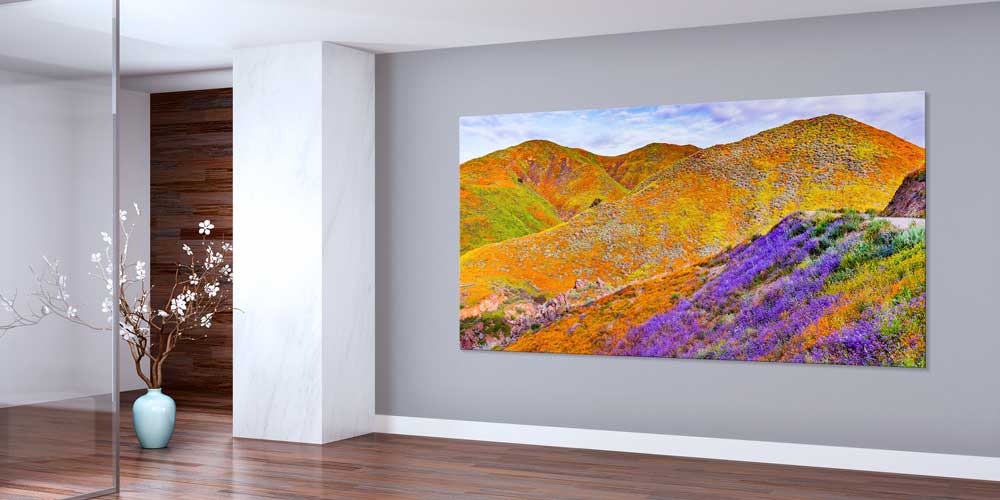 Renkli Tepeler ve Çiçekli Yamaçlar Büyük Ebat Duvar Dekoru 14114