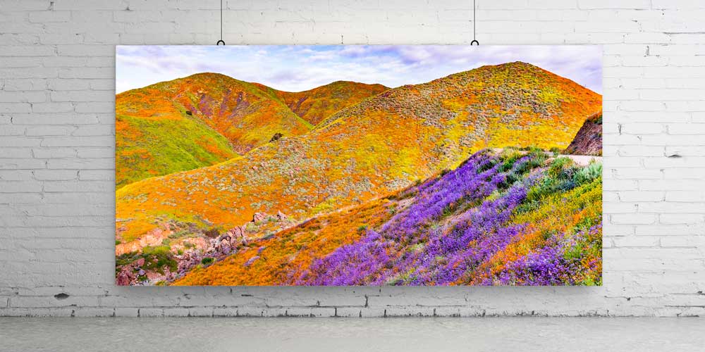 Renkli Tepeler ve Çiçekli Yamaçlar Büyük Ebat Duvar Dekoru 14114