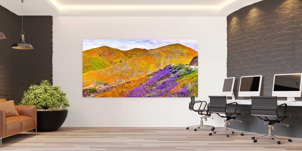 Renkli Tepeler ve Çiçekli Yamaçlar Büyük Ebat Duvar Dekoru 14114