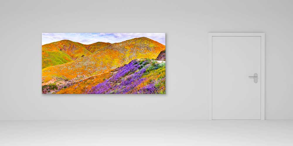 Renkli Tepeler ve Çiçekli Yamaçlar Büyük Ebat Duvar Dekoru 14114