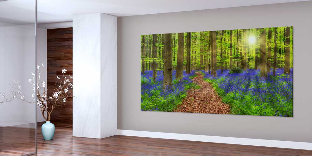 Mor Çiçekli Orman Yolu Gün Işığı Panoramik Büyük Ebat Duvar Dekoru 14229