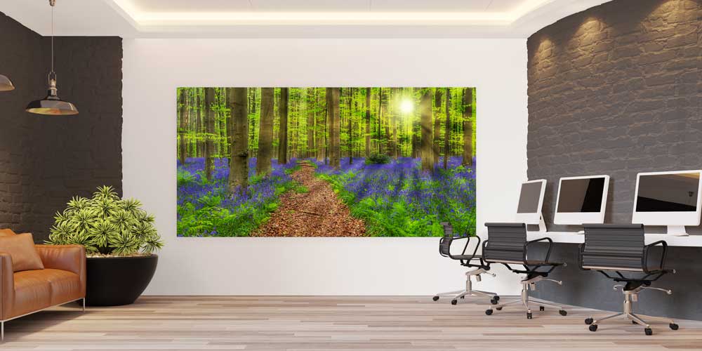Mor Çiçekli Orman Yolu Gün Işığı Panoramik Büyük Ebat Duvar Dekoru 14229