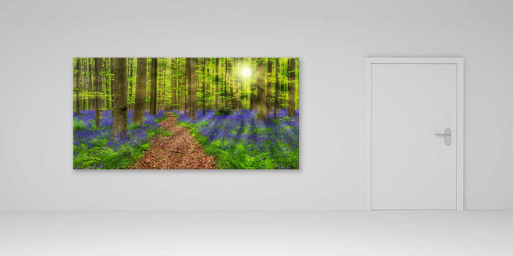 Mor Çiçekli Orman Yolu Gün Işığı Panoramik Büyük Ebat Duvar Dekoru 14229