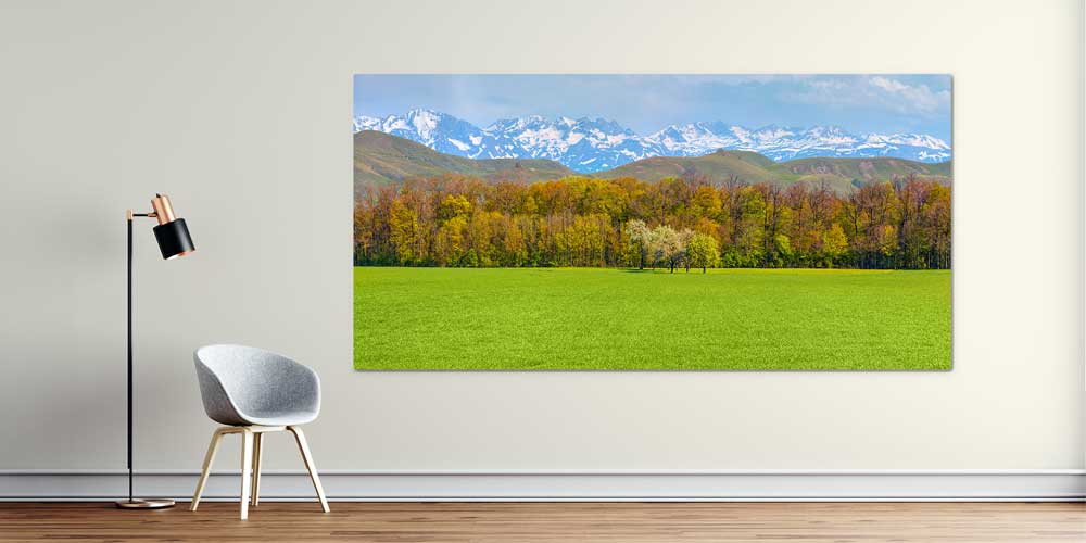 Yeşil Çayır ve Karlı Dağlar Manzaralı Büyük Ebat Duvar Dekor Ürünü 11897