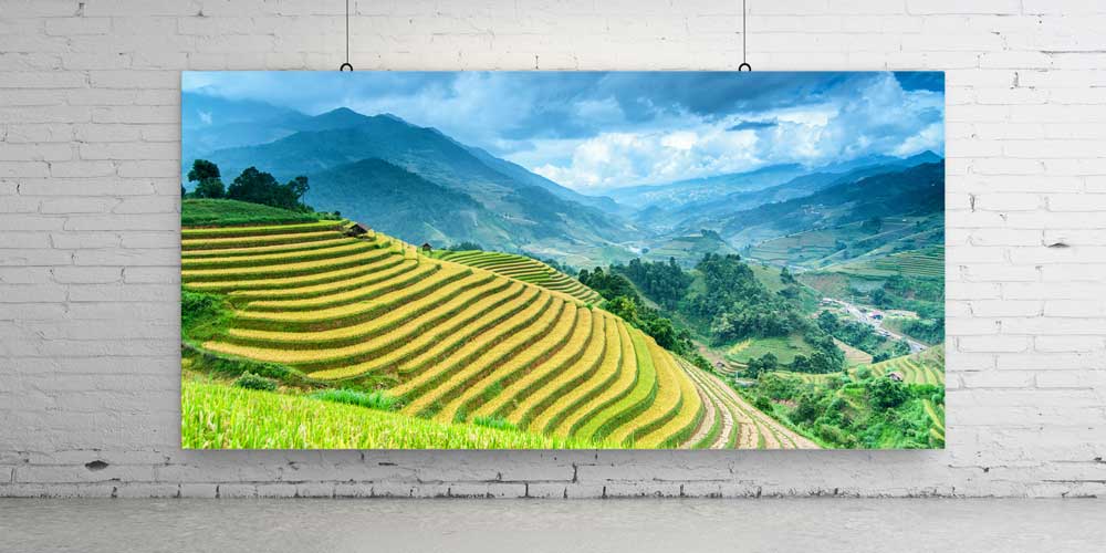 Teras Pirinç Tarlası ve Dağ Manzarası Büyük Duvar Dekoru 14068