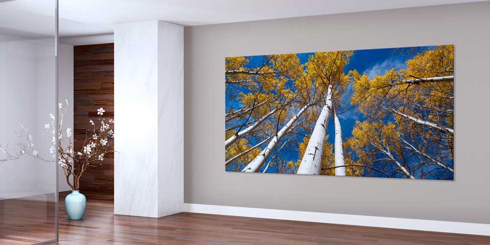 Aspen Ormanları Sonbahar Perspektifi Büyük Ebat Duvar Dekor Ürünü 14138