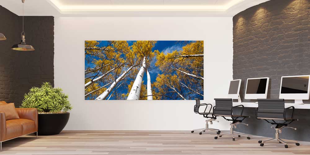 Aspen Ormanları Sonbahar Perspektifi Büyük Ebat Duvar Dekor Ürünü 14138